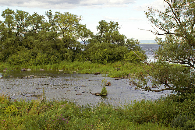 A Pool by the Lachine Rapids
