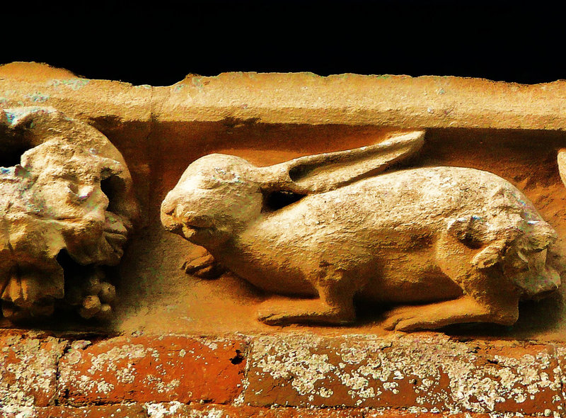 hanwell hare [s]
