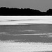 danube shore-2-Edit small