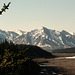 Day 13: Deep Denali National Park