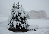 Neuschnee in den Dolomiten