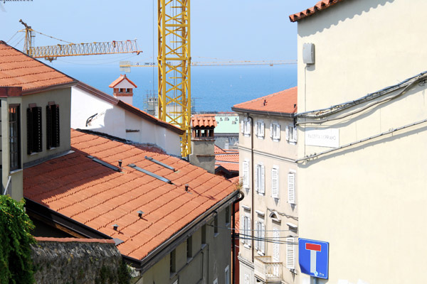 Looking out to the harbour