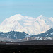 Day 13: Spectacular Denali