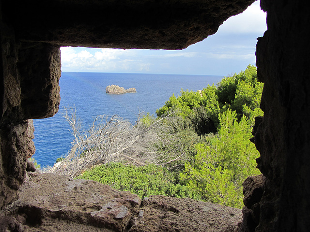 Fensterblick