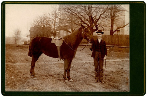 A Man and His Horse