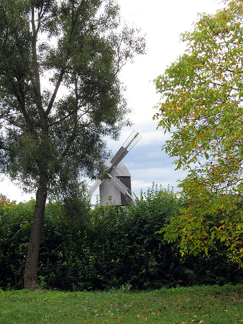 Bockwindmühle