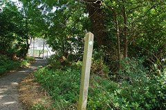 Biggin Wood Biggin Wood