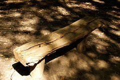 Bench, Biggin Wood Bench, Biggin Wood