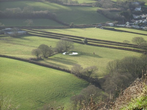 English countryside making patterns
