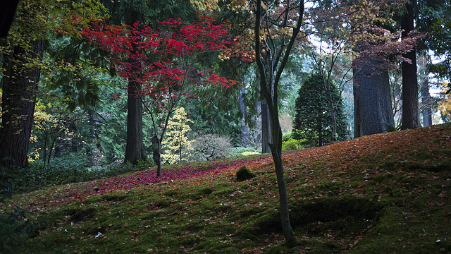 Portland's Japanese Garden