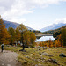 Herbstlandschaft