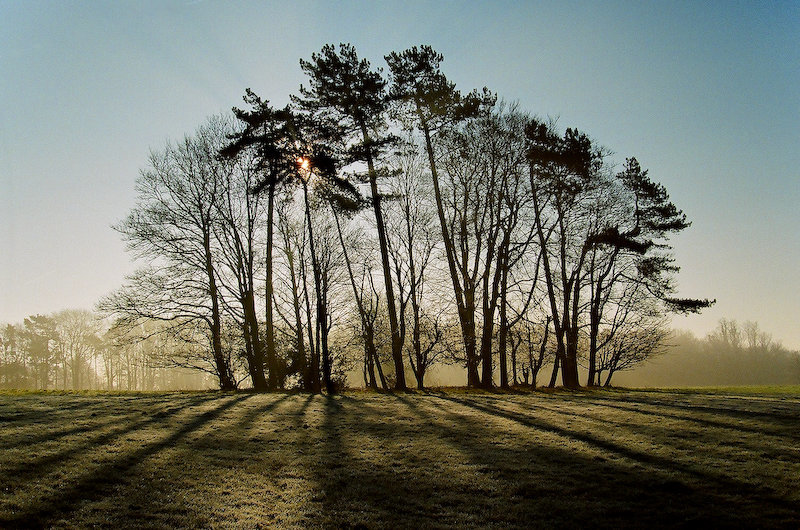 Contre-jour