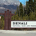 Day 13: Welcome to Denali National Park and Preserve