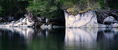 Day 4: Rock Reflection