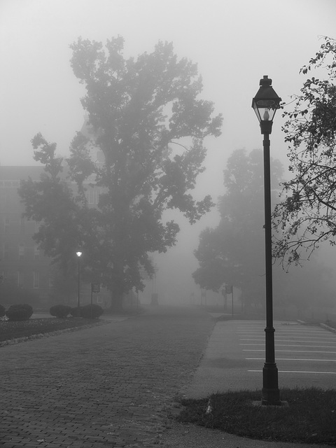 The Ridges in the fog