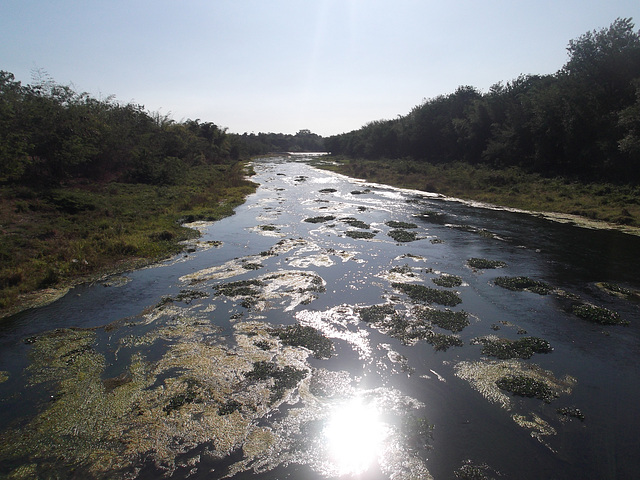 Río Bayamo - 14 mars 2012 à  8h26......