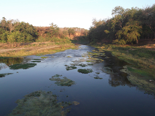 Río Bayamo - 14 mars 2012 à 6h49.......