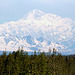 Day 12: Another view of Denali