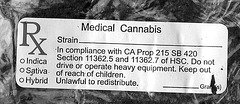 (11-04-34) Great LA Walk - Medical Cannabis Baggie (2)