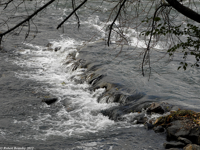 Chute griffée