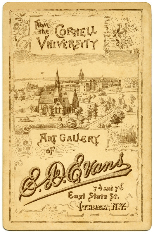 Cornell University Art Gallery of E. D. Evans, Ithaca, N.Y.