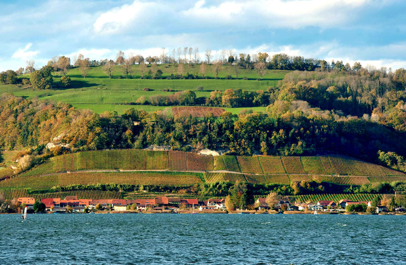 Couleurs d'automne...