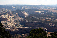 View from the Canyon Area