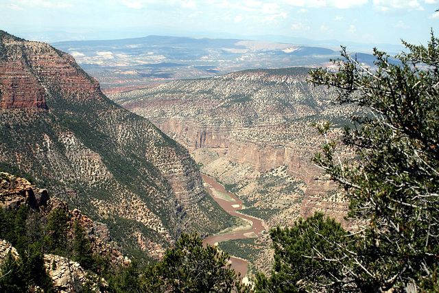 View from the Canyon Area