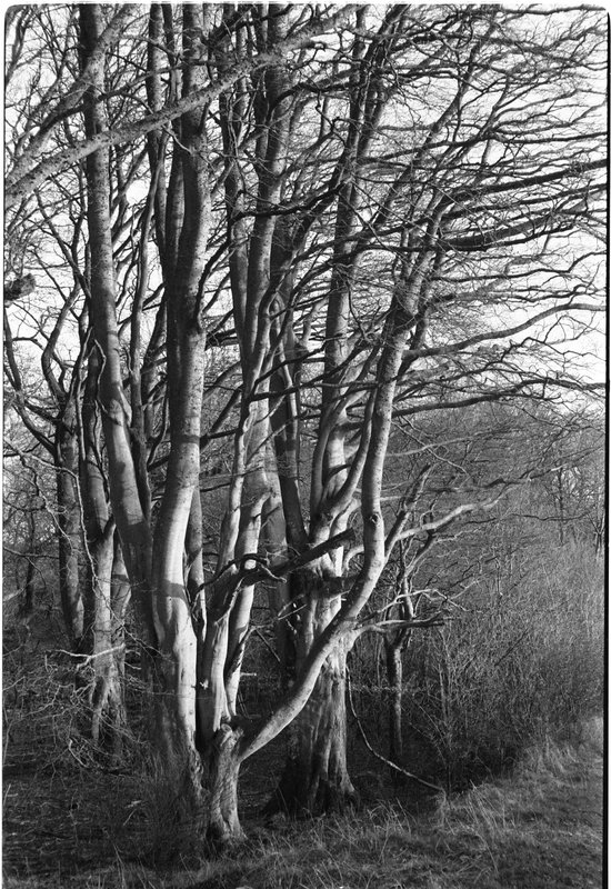 Aberdeenshire series