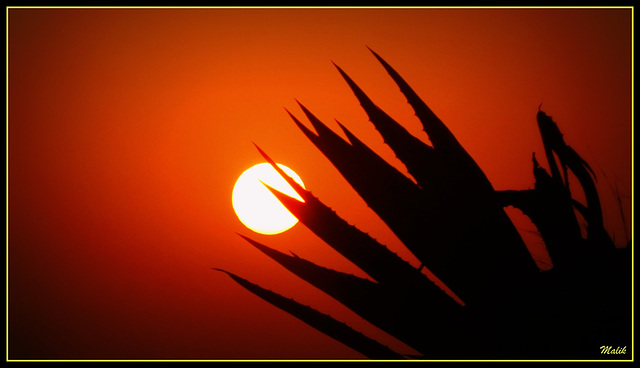 Coucher.