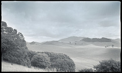 Petaluma Hills