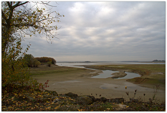 Lac du Der.