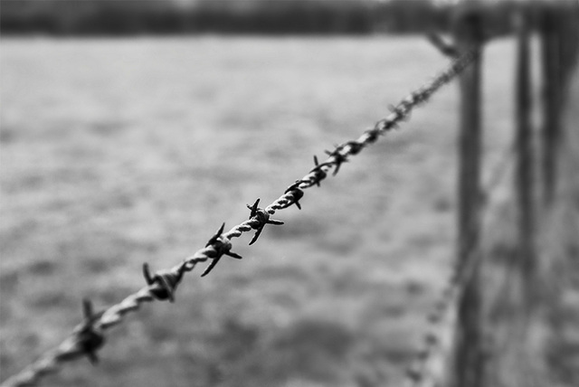 barbed wire