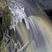 Grass icicles, Shetland