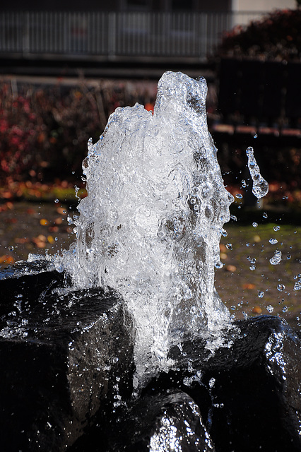 Wasserspielarten