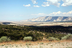 View from the Canyon Area