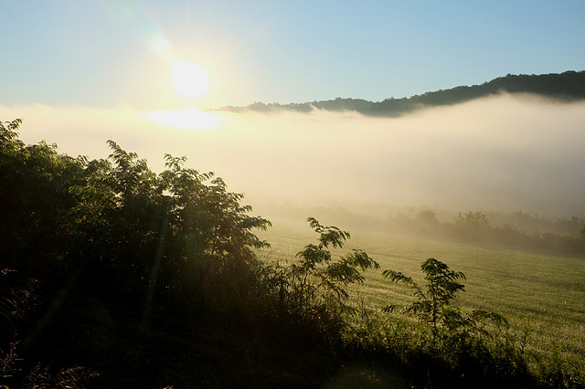 Sun rises over the fog