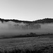 Fog over the farm