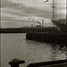 Peterhead series