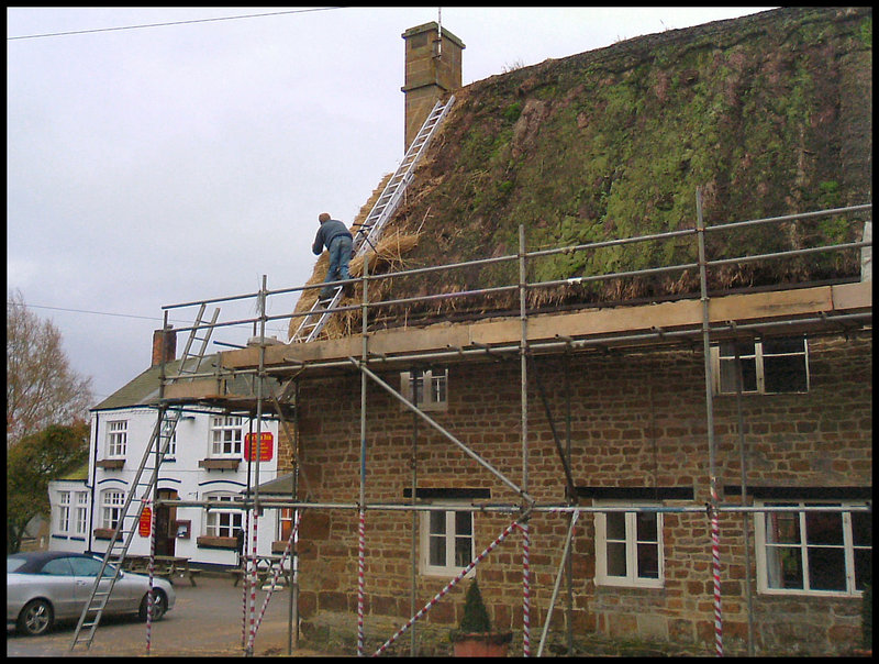 thatching in progress