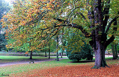 la nature revêt ses plus belles couleurs d'automne