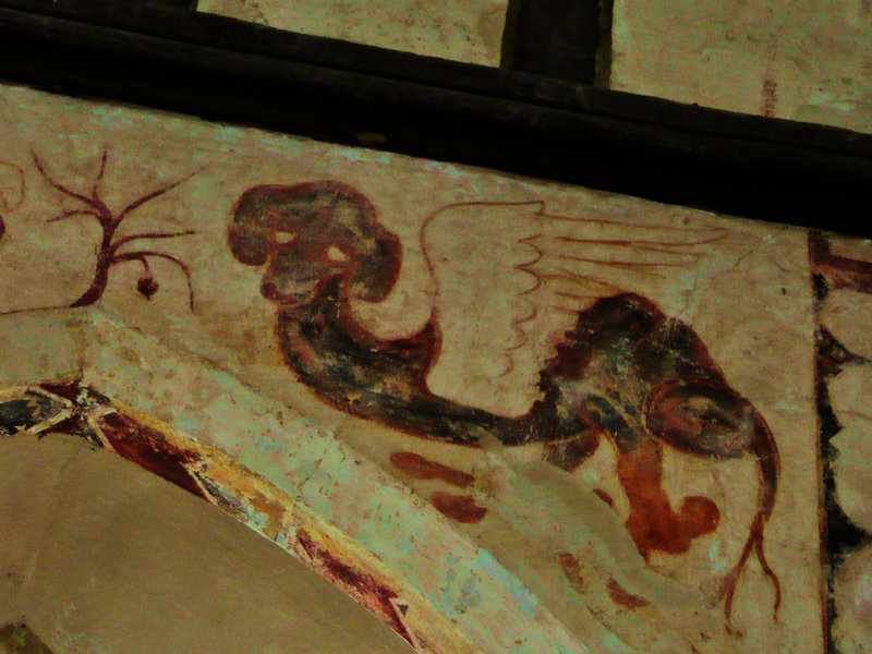hailes c13 dog head dragon
