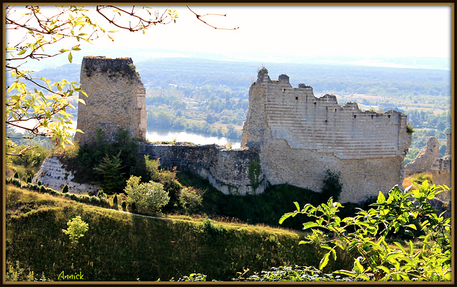 les ruines du château Gaillard ***