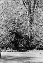 Anglesey Abbey (BW 2)