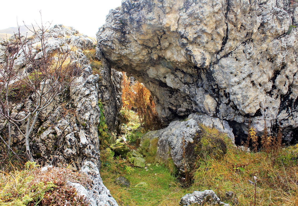 Natur