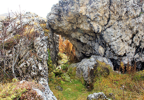 Natur