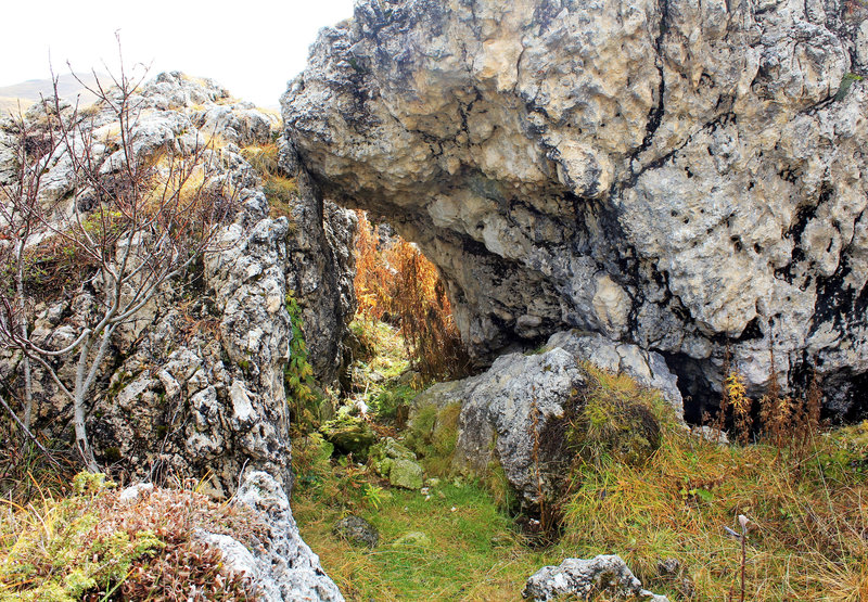 Natur