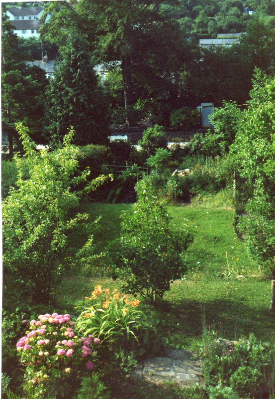 Looking over the garden from bedroom