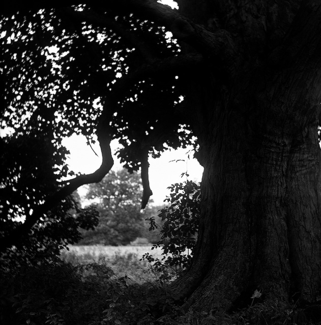 Ayot St Lawrence, Herts