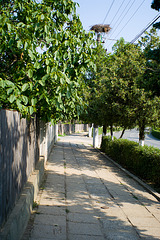 Sidewalk